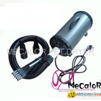 adjustable air and heating dual motor powerful pet dryer