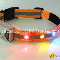 reflective dog collar with beautiful flashing LEDs