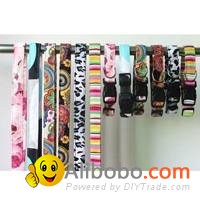 2014  New personalized fabric dog leash