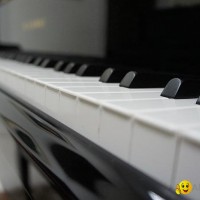 Piano keys