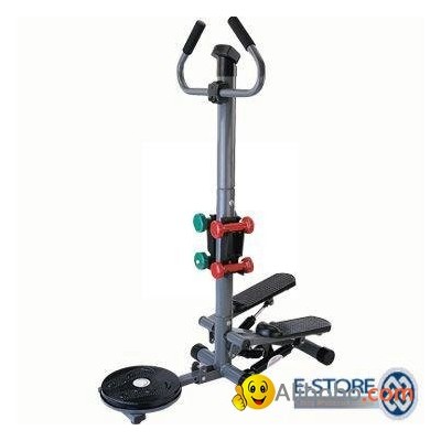 Multifunction stepper with twisterpicture1
