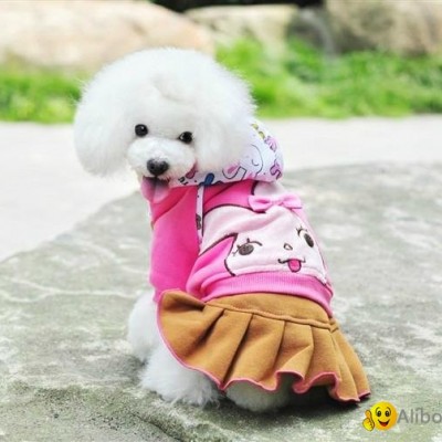 2012 pet productspicture1