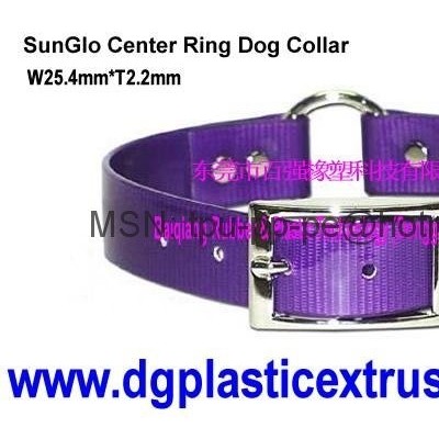 electrical pet collar and waterproof pet collar with DayGlo pet collarpicture1