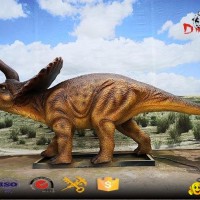 Animatronic dinosaur simulation real lifesize model Triceratops
