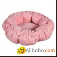 dog bed