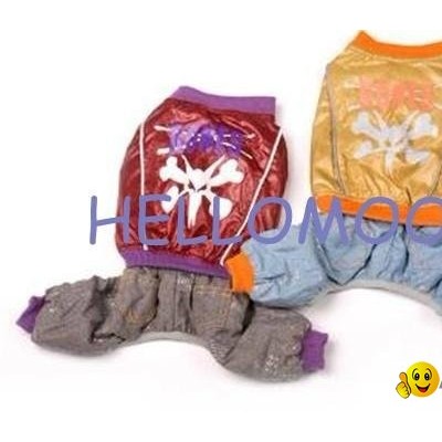 pet coats(Stars shining)picture1