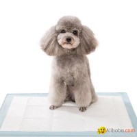 Wholesale Puppy Training Pads Dog Pee Pads with PP Stickers