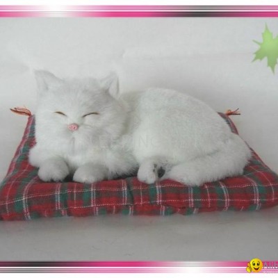 Sleeping Snow White Cat On Blanketpicture1