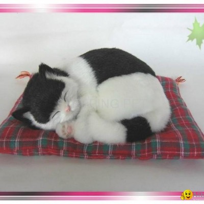 Sleeping Black and White Cat On Blanketpicture1
