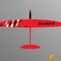 60'' Sunbird rc glider in full carbon version
