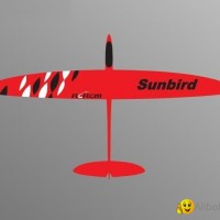 60'' Sunbird rc glider in full carbon version