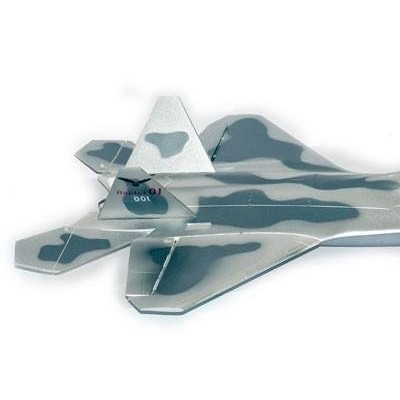 F-22 Raptor fighter with Twin 55mm Jet ( rc aircraft )picture1