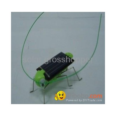 Solar Grasshopperpicture1