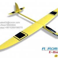 Hornet motor composite plane model of rcrcm