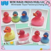 color chaniging rubber bath duck in hot water 37 degree