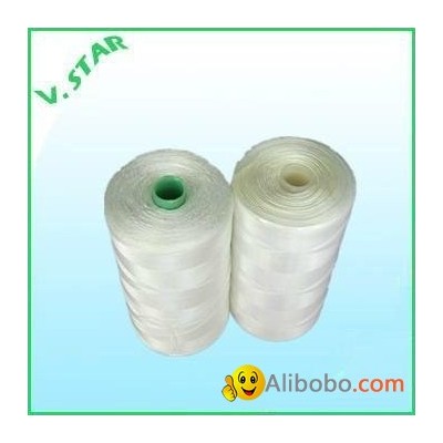 Polyamide  6 fishnet twine/threadpicture1