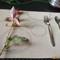 pvc placemat