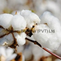 100% natural raw cotton