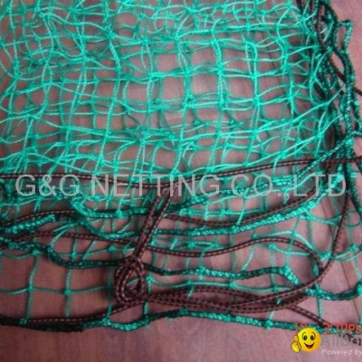 CONTAINER  NETpicture1