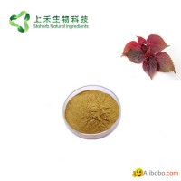 perilla leaf extract powder