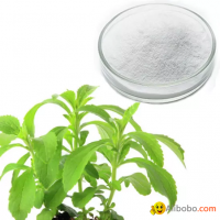 hight quality stevia extract