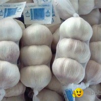 mesh bag packing garlic in selling