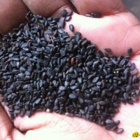BLACK SESAME
