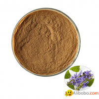 Coleus forskohlii Extract