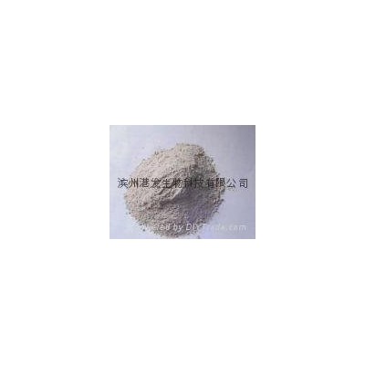 Supply high-quality shell powderpicture1