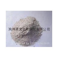 Supply high-quality shell powder