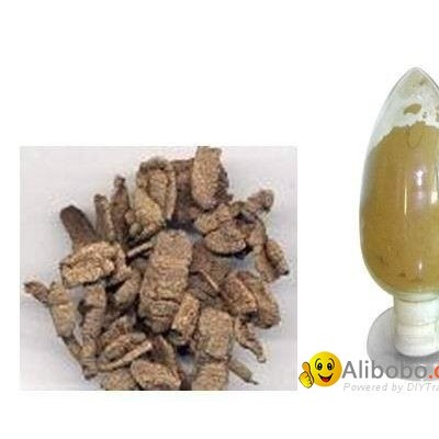 morinda officinalis polysaccharidespicture1