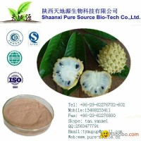 High heat and rich nutrition superior tonic Graviola Extract PE with flavones