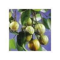 Garcinia Cambogia Extract