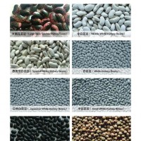 Beans Millets