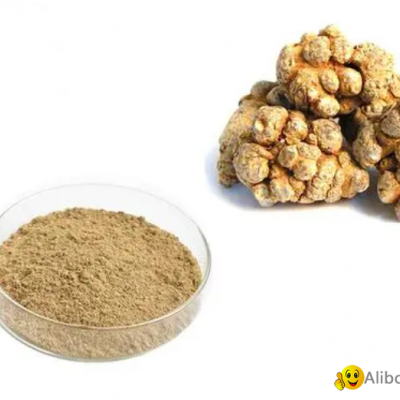 Panax notoginseng extractpicture1