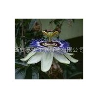 Passion Flower Extract