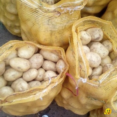 2022 New Crop Chinese Fresh Potatopicture1