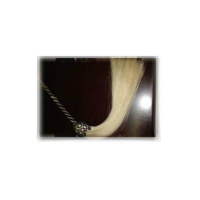 Horsetail whiskpicture1