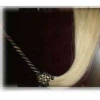 Horsetail whisk