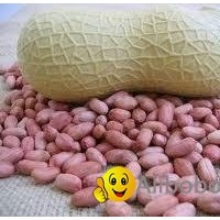 Natural Cheap Peanuts (Groundnut) From Africa
