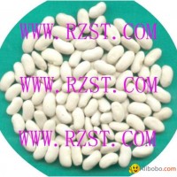 LongWhite Kidney Beans