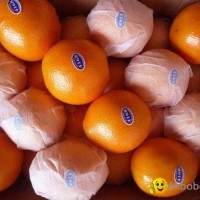 Valencia Oranges