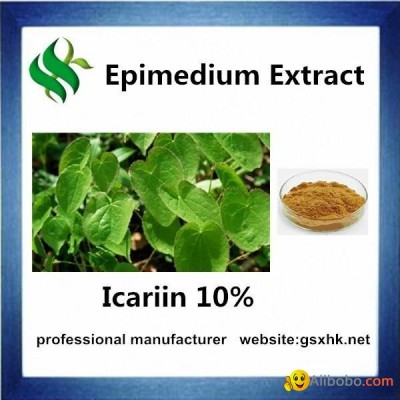 High Quality Epimedium Extractpicture1