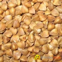 Roasted Buckwheat Kernel