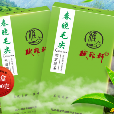 2020 New Green Tea Sichuan Maojian Teapicture1