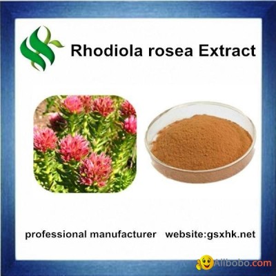 High Quality Rhodiola Rosea Extractpicture1