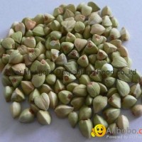 Buckwheat Kernels