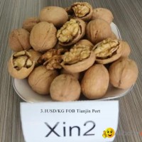 XIN2 Walnut Inshell