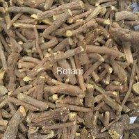 Licorice Root- Hand Picked