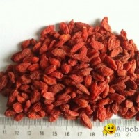 Organic Dried Goji Berry